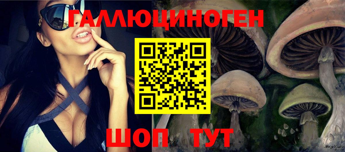 Галлюциногенные грибы Magic Shrooms  Вход с VPN  Унеча  Галлюциногенные грибы прущие грибы 